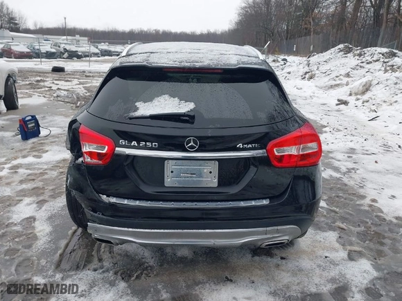 2015 Mercedes-Benz GLA-Class GLA 250 with VIN WDCTG4GB0FJ113757, listed as a IAAI auction lot 41673825 with NaN miles. Bid and sale history available at carsss.com. Image 15.