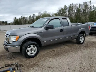 2010 Ford F-150 XL with VIN 1FTEX1C82AFA47750, listed as a Copart auction lot 55603415 with 188,209 mi miles and Clean title. Bid and sale history available at DreamBid. Image 1.