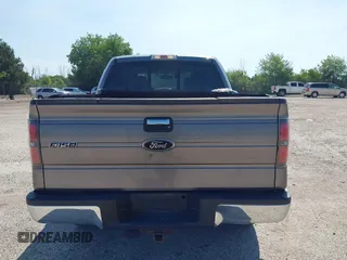 2010 Ford F-150 XL with VIN 1FTEW1E83AFD18282, listed as a IAAI auction lot 42653428 with 207,118 mi miles and . Bid and sale history available at DreamBid. Image 16.