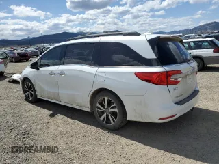 2020 Honda Odyssey Elite with VIN 5FNRL6H91LB015309, listed as a Copart auction lot 53560145 with 44,194 mi miles and Salvage title. Bid and sale history available at DreamBid. Image 2.