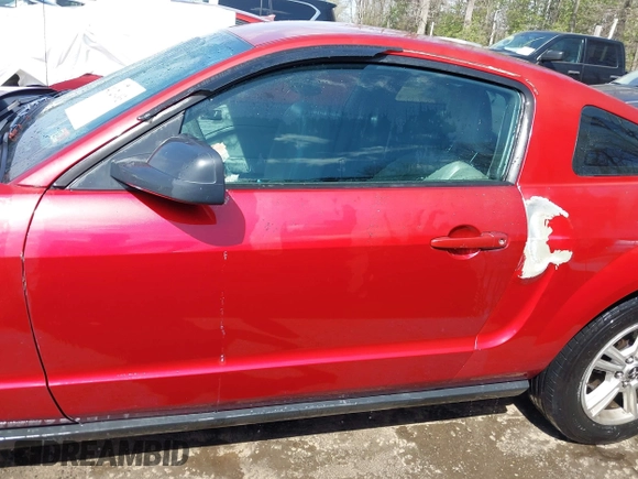 2005 Ford Mustang Deluxe with VIN 1ZVFT80NX55119984, listed as a IAAI auction lot 41921403 with 243,278 mi miles and . Bid and sale history available at DreamBid. Image 14.