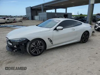 2020 BMW 8 Series 840i with VIN WBAAE2C05LCD01914, listed as a Copart auction lot 60069695 with 30,402 mi miles and Salvage title. Bid and sale history available at DreamBid. Image 1.