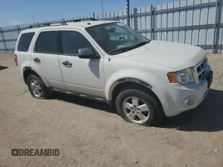 2011 Ford Escape XLT with VIN 1FMCU9D74BKC53967, listed as a Copart auction lot 79251934 with 132,215 mi miles and Salvage title. Bid and sale history available at DreamBid. Image 4.