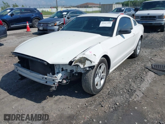 2013 Ford Mustang V6 with VIN 1ZVBP8AM5D5265880, listed as a IAAI auction lot 42617490 with 99,638 mi miles and . Bid and sale history available at DreamBid. Image 20.