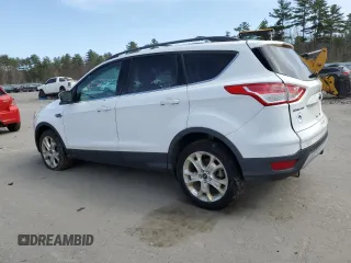 2013 Ford Escape SE with VIN 1FMCU9GX9DUB91582, listed as a Copart auction lot 53540065 with 126,426 mi miles and Clean Title. Bid and sale history available at carsss.com. Image 2.