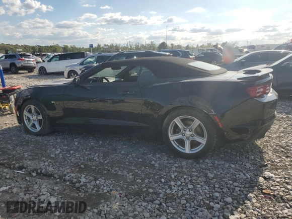 2019 Chevrolet Camaro 1LT with VIN 1G1FB3DS5K0150716, listed as a Copart auction lot 73013224 with 96,161 mi miles and Clean Title. Bid and sale history available at carsss.com. Image 2.