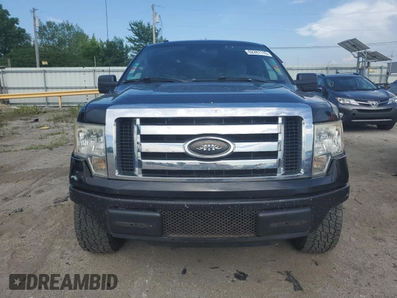 2010 Ford F-150 XL with VIN 1FTEX1C86AFD96491, listed as a Copart auction lot 62287115 with 283,496 mi miles and Clean title. Bid and sale history available at DreamBid. Image 5.