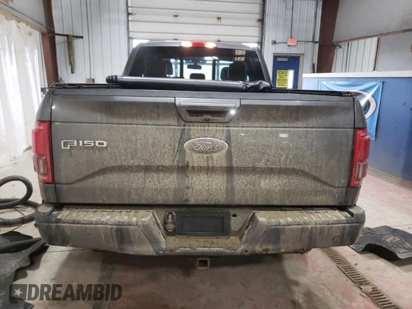 2015 Ford F-150 XLT with VIN 1FTEX1EP5FFC13030, listed as a Copart auction lot 46845495 with 177,880 mi miles and Salvage Title. Bid and sale history available at carsss.com. Image 6.