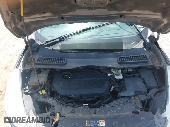 2013 Ford Escape SE с VIN 1FMCU0GX6DUA25595, выставлен на аукционе IAAI как лот 42669283 с пробегом 210 869 миль миль и . История ставок и продаж доступна на DreamBid. Изображение 10.