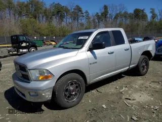 2010 Dodge 1500 SLT z VIN 1D7RV1GP4AS116282, wystawiony jako Copart lot #49779085 z przebiegiem 271 148 mil mil oraz Szkoda całkowita • Salvage title. Historia ofert i sprzedaży dostępna na DreamBid. Obrazek 1.
