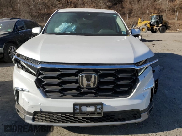 2024 Honda Pilot EX-L 7 Passenger with VIN 5FNYG1H52RB049090, listed as a Copart auction lot 41562695 with 9,939 mi miles and Salvage Title. Bid and sale history available at carsss.com. Image 5.