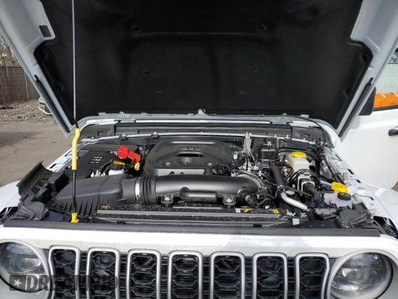 2025 Jeep Wrangler Sahara with VIN 1C4PJXENXSW506251, listed as a Copart auction lot 44613595 with 3,917 mi miles and Clean Title. Bid and sale history available at DreamBid. Image 11.
