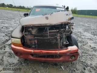 2001 Dodge Dakota with VIN 1B7GL22X41S135029, listed as a Copart auction lot 51102745 with 0 mi miles and Salvage Title. Bid and sale history available at carsss.com. Image 5.