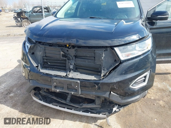 2017 Ford Edge Titanium with VIN 2FMPK4K99HBB57818, listed as a IAAI auction lot 42072809 with 113,124 mi miles. Bid and sale history available at carsss.com. Image 6.