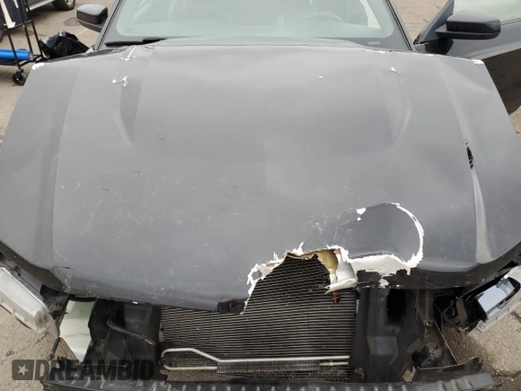 2010 Ford Mustang GT with VIN 1ZVBP8CH5A5144584, listed as a Copart auction lot 43932005 with 64,353 mi miles and Salvage Title. Bid and sale history available at carsss.com. Image 11.