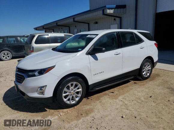 2019 Chevrolet Equinox LS with VIN 3GNAXHEV8KS659787, listed as a Copart auction lot 49732995 with 87,834 mi miles and Clean Title. Bid and sale history available at DreamBid. Image 1.