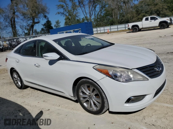 2014 Hyundai Azera with VIN KMHFG4JG1EA385784, listed as a Copart auction lot 49060695 with 168,953 mi miles and Salvage title. Bid and sale history available at DreamBid. Image 4.