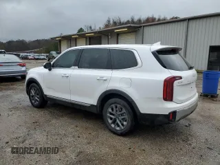 2024 Kia Telluride LX with VIN 5XYP24GC3RG467730, listed as a Copart auction lot 85728044 with 19,806 mi miles and Salvage title. Bid and sale history available at DreamBid. Image 2.