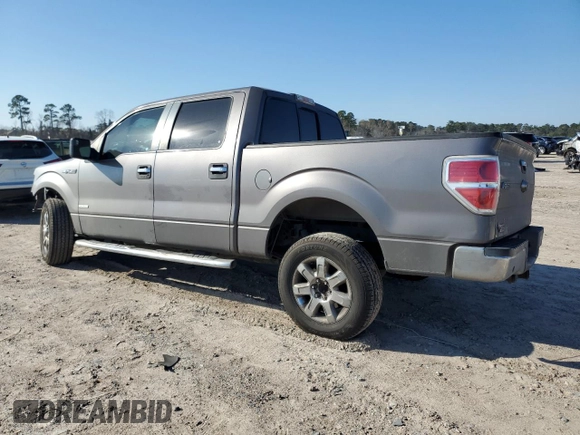 2014 Ford F-150 XL with VIN 1FTFW1CTXEKD30308, listed as a Copart auction lot 46358665 with 217,885 mi miles and Salvage Title. Bid and sale history available at DreamBid. Image 2.