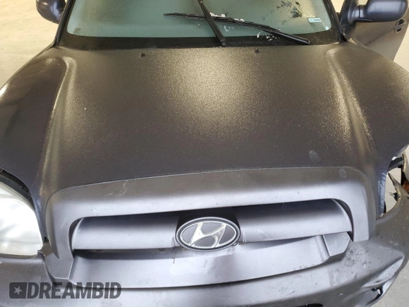2006 Hyundai Santa Fe GLS with VIN KM8SC13D16U105454, listed as a Copart auction lot 44218575 with 118,579 mi miles and Clean Title. Bid and sale history available at carsss.com. Image 12.