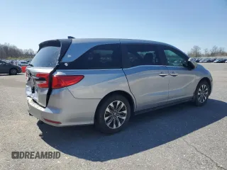2022 Honda Odyssey EX-L with VIN 5FNRL6H73NB067462, listed as a Copart auction lot 53811365 with 44,182 mi miles and Salvage Title. Bid and sale history available at DreamBid. Image 3.