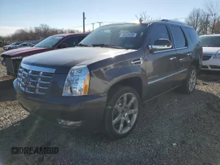 2010 Cadillac Escalade Premium with VIN 1GYUKCEF2AR264970, listed as a Copart auction lot 49448435 with 153,957 mi miles and Salvage title. Bid and sale history available at DreamBid. Image 1.