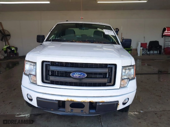 2014 Ford F-150 XL with VIN 1FTEX1CM3EFB15654, listed as a IAAI auction lot 41599447 with 148,481 mi miles. Bid and sale history available at carsss.com. Image 12.