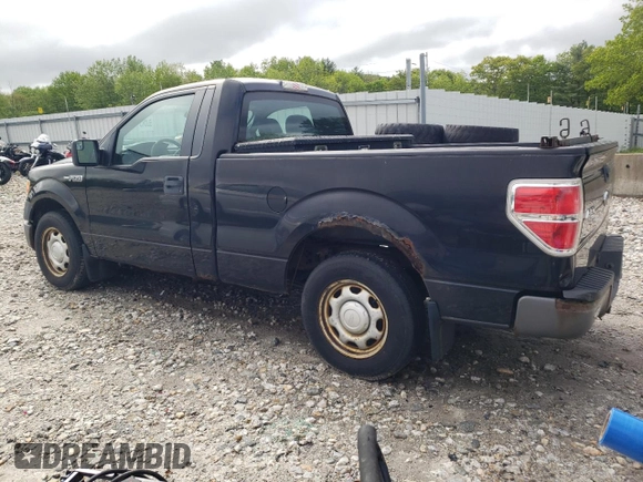 2013 Ford F-150 XL with VIN 1FTMF1CM7DFD51544, listed as a Copart auction lot 58138115 with 284,893 mi miles and Clean title. Bid and sale history available at DreamBid. Image 2.