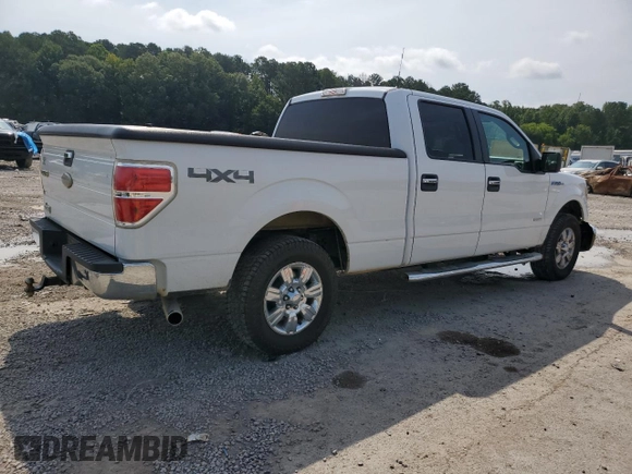 2011 Ford F-150 XLT с VIN 1FTFW1ET2BFC64953, выставлен на аукционе Copart как лот 62419915 с пробегом 173 782 миль миль и Списание • Salvage title. История ставок и продаж доступна на DreamBid. Изображение 3.