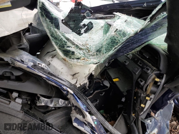 2020 Ford Mustang GT with VIN 1FA6P8CF4L5161372, listed as a Copart auction lot 58476105 with Not provided miles and Salvage title. Bid and sale history available at DreamBid. Image 8.