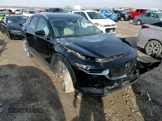 2023 Mazda CX-30 S Preferred with VIN 3MVDMBCM5PM523729, listed as a Copart auction lot 46171885 with 10,405 mi miles and Salvage title. Bid and sale history available at DreamBid. Image 11.