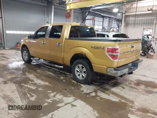 2009 Ford F-150 XL with VIN 1FTRW14829KC27848, listed as a IAAI auction lot 41570755 with 163,947 mi miles and . Bid and sale history available at DreamBid. Image 3.