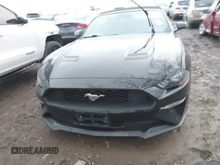 2019 Ford Mustang EcoBoost with VIN 1FATP8UH2K5159850, listed as a IAAI auction lot 41056057 with 44,133 mi miles and . Bid and sale history available at DreamBid. Image 12.