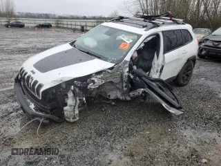 2016 Jeep Cherokee Trailhawk with VIN 1C4PJMBB7GW183812, listed as a Copart auction lot 85377784 with 0 mi miles and Salvage Title. Bid and sale history available at carsss.com. Image 1.