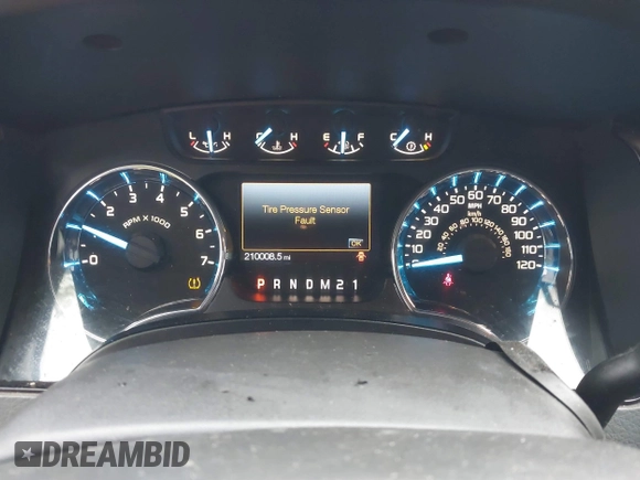 2011 Ford F-150 XL with VIN 1FTEX1CM4BFD28236, listed as a IAAI auction lot 42435237 with 210,008 mi miles and . Bid and sale history available at DreamBid. Image 7.