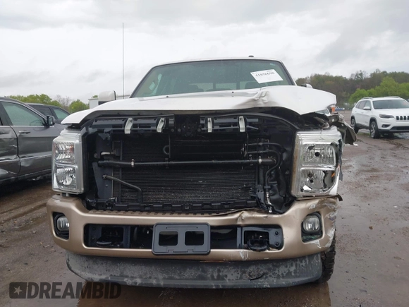 2013 Ford F-250 XL with VIN 1FT7W2BT6DEA95933, listed as a IAAI auction lot 41856698 with 168,236 mi miles and . Bid and sale history available at DreamBid. Image 12.