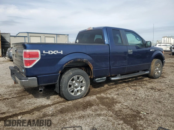 2009 Ford F-150 XL with VIN 1FTPX14V69FB25939, listed as a Copart auction lot 50436685 with 256,699 mi miles and Clean Title. Bid and sale history available at carsss.com. Image 3.
