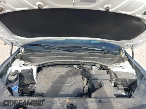 2023 Kia Telluride SX Prestige X-Pro with VIN 5XYP5DGC2PG327611, listed as a IAAI auction lot 41072515 with 30,809 mi miles and . Bid and sale history available at DreamBid. Image 10.