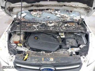 2014 Ford Escape SE with VIN 1FMCU0GX0EUA84076, listed as a IAAI auction lot 41534820 with 1 mi miles. Bid and sale history available at carsss.com. Image 10.