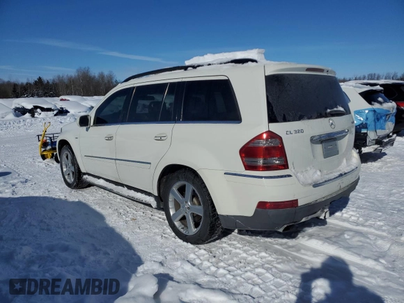 2009 Mercedes-Benz GL-Class 3.0L BlueTEC with VIN 4JGBF25E19A488045, listed as a Copart auction lot 46063375 with 242,880 mi miles and Clean Title. Bid and sale history available at carsss.com. Image 2.