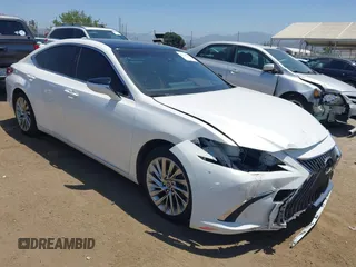 2019 Lexus ES 350 with VIN JTHBZ1B11K2004347, listed as a IAAI auction lot 42519746 with 43,269 mi miles and . Bid and sale history available at DreamBid. Image 1.