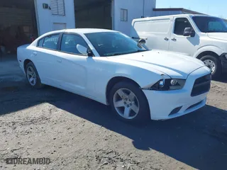 2014 Dodge Charger Police with VIN 2C3CDXAG6EH121287, listed as a IAAI auction lot 41728835 with 116,253 mi miles. Bid and sale history available at carsss.com. Image 1.