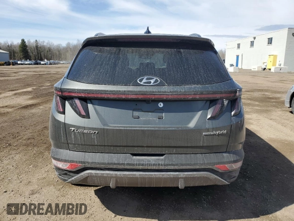 2024 Hyundai Tucson SEL Convenience with VIN KM8JCCD1XRU162395, listed as a Copart auction lot 48345565 with 13,764 mi miles and Salvage Title. Bid and sale history available at carsss.com. Image 6.