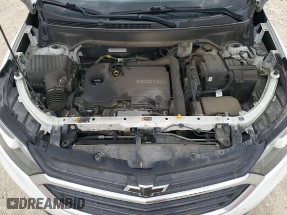 2019 Chevrolet Equinox LT with VIN 3GNAXKEV6KS505916, listed as a Copart auction lot 53357255 with 110,309 mi miles and Salvage Title. Bid and sale history available at DreamBid. Image 12.