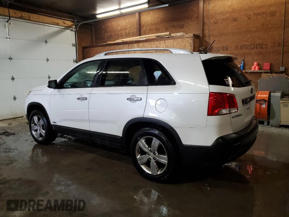 2013 Kia Sorento EX with VIN 5XYKUDA23DG316917, listed as a Copart auction lot 53430435 with 163,533 mi miles and Salvage Title. Bid and sale history available at carsss.com. Image 2.