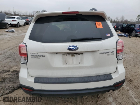 2017 Subaru Forester Premium with VIN JF2SJAGC6HH530998, listed as a Copart auction lot 41919335 with Not Provided miles and Salvage Title. Bid and sale history available at carsss.com. Image 6.