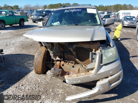 2005 Ford Expedition Limited with VIN 1FMFU19565LA63012, listed as a IAAI auction lot 41370679 with 235,080 mi miles. Bid and sale history available at carsss.com. Image 13.