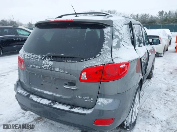 2009 Hyundai Santa Fe SE with VIN 5NMSH13E19H287053, listed as a IAAI auction lot 41600820 with 0 mi miles. Bid and sale history available at carsss.com. Image 4.