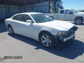 2013 Dodge Charger Police with VIN 2C3CDXAT0DH696299, listed as a IAAI auction lot 41734160 with 108,245 mi miles. Bid and sale history available at carsss.com. Image 1.