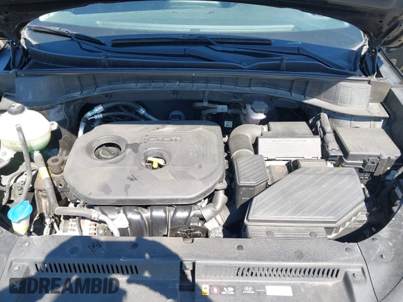 2019 Hyundai Tucson Value with VIN KM8J3CA46KU935335, listed as a IAAI auction lot 42296162 with 65,099 mi miles and . Bid and sale history available at DreamBid. Image 10.